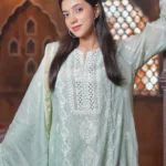 Flipkart Chikankari Suits Delivery In Kashmir